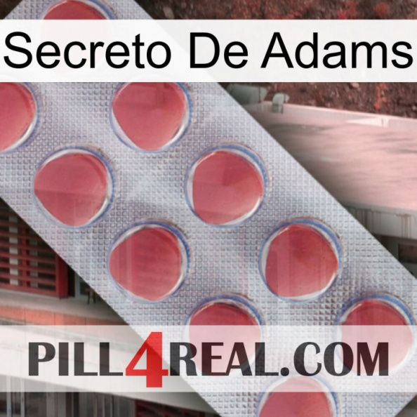 Adams Secret 18.jpg